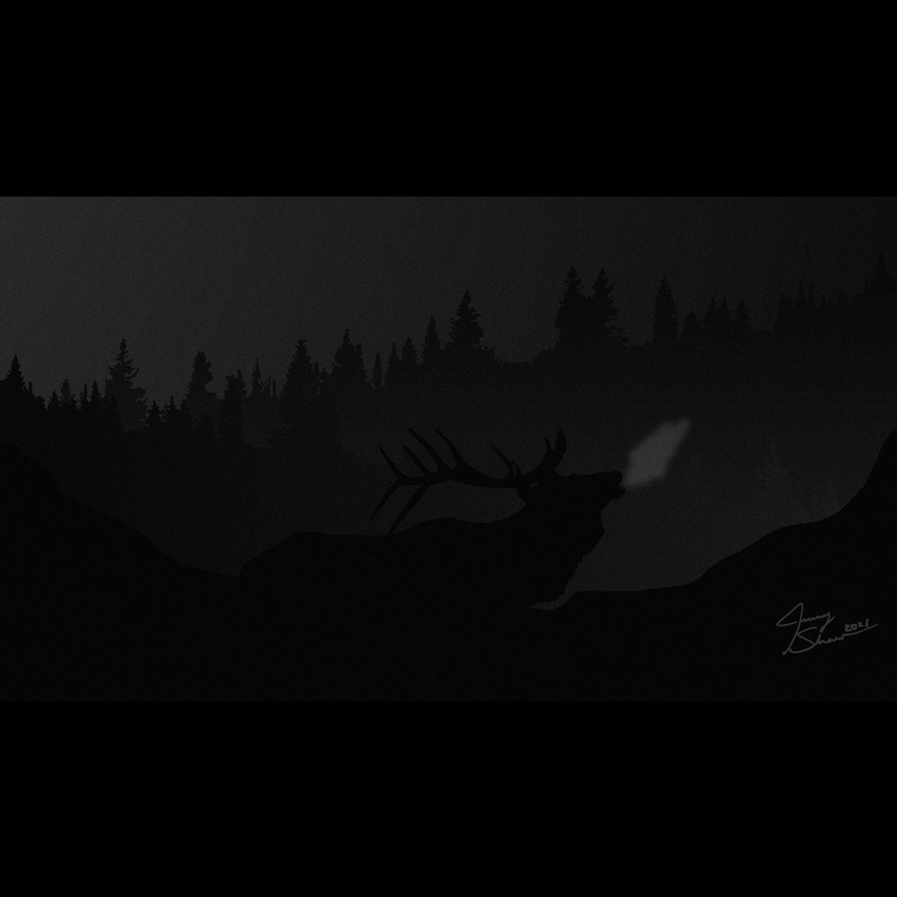 mountain_elk_Illustration